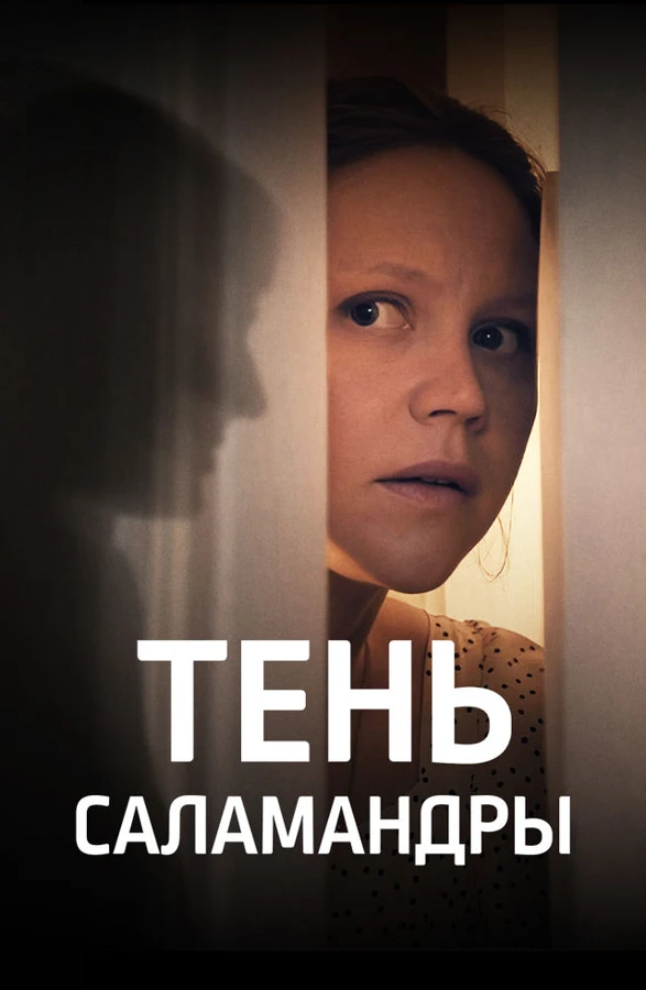 Василий Туркин
